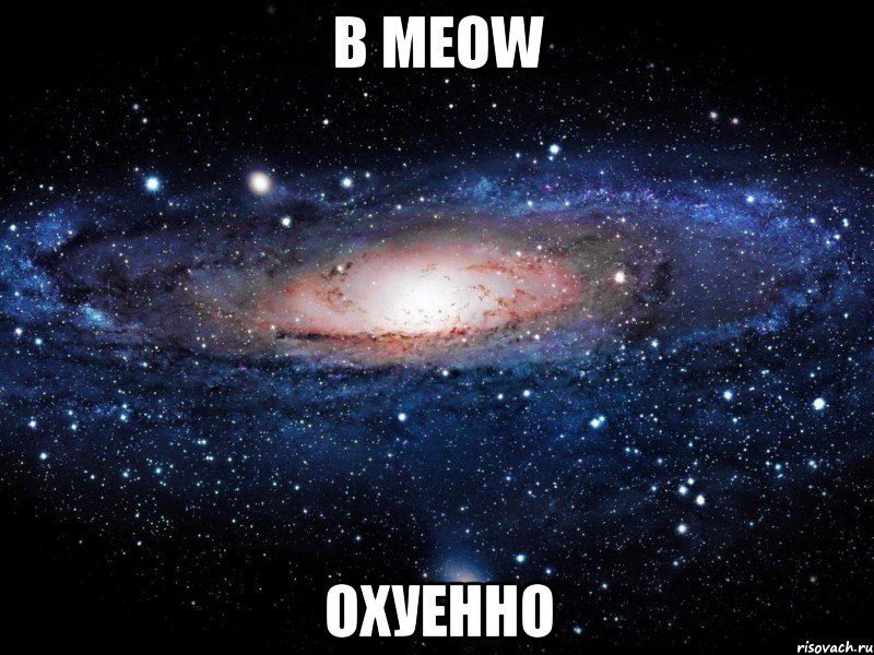 в meow охуенно