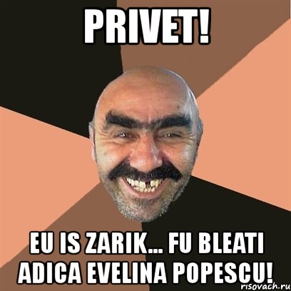 privet! eu is zarik... fu bleati adica evelina popescu!, Мем Я твой дом труба шатал