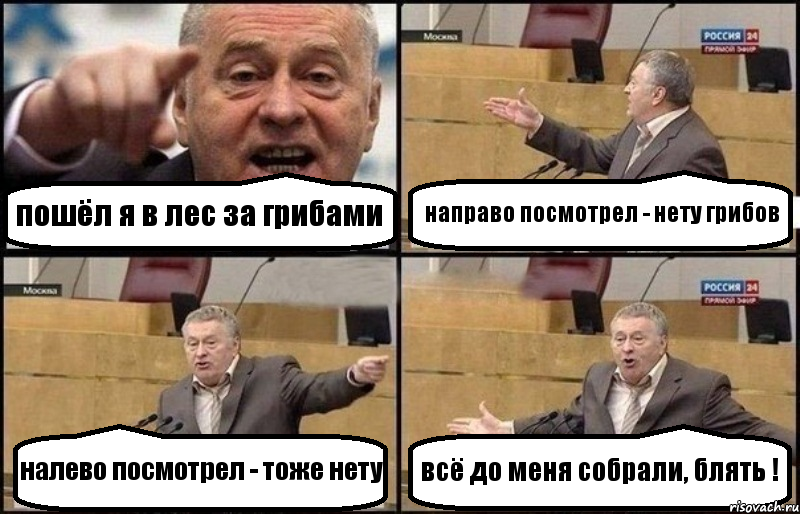 пошёл я в лес за грибами направо посмотрел - нету грибов налево посмотрел - тоже нету всё до меня собрали, блять !, Комикс Жириновский