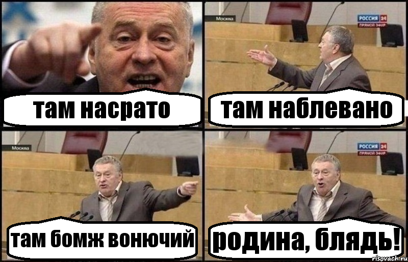 там насрато там наблевано там бомж вонючий родина, блядь!, Комикс Жириновский