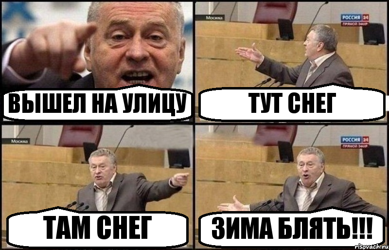 ВЫШЕЛ НА УЛИЦУ ТУТ СНЕГ ТАМ СНЕГ ЗИМА БЛЯТЬ!!!, Комикс Жириновский