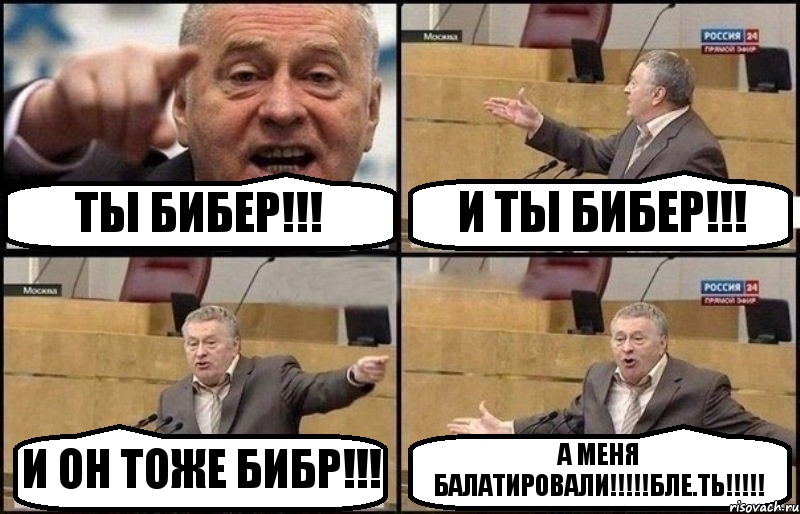 ТЫ БИБЕР!!! И ТЫ БИБЕР!!! И ОН ТОЖЕ БИБР!!! А МЕНЯ БАЛАТИРОВАЛИ!!!БЛЕ.ТЬ!!!, Комикс Жириновский