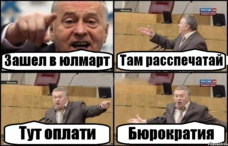 Зашел в юлмарт Там расспечатай Тут оплати Бюрократия, Комикс Жириновский