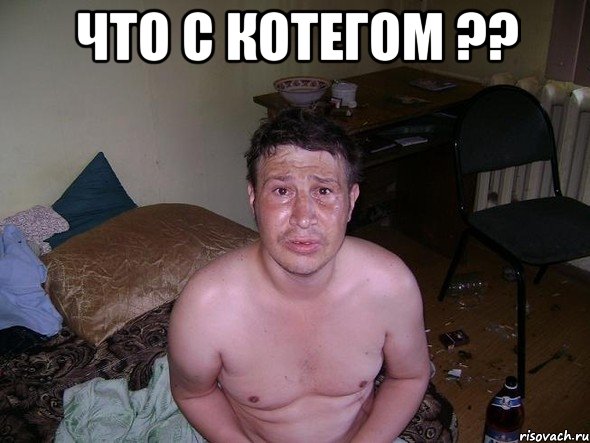 что с котегом ?? 