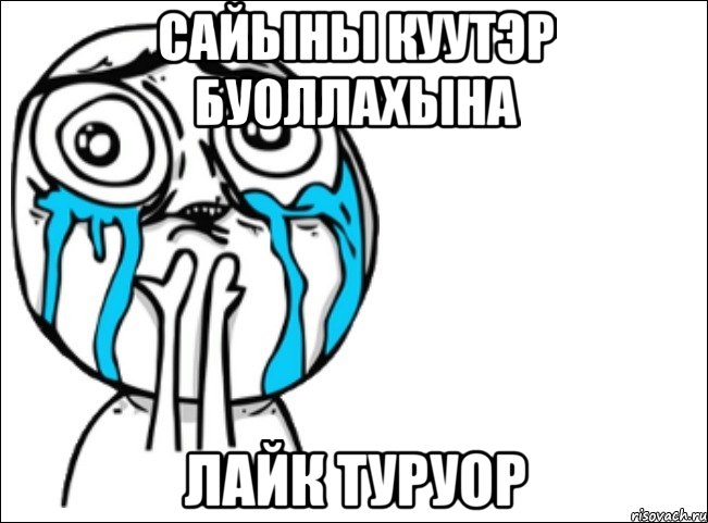 сайыны куутэр буоллахына лайк туруор, Мем Это самый