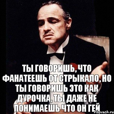 Ты говоришь, что фанатеешь от Стрыкало, но ты говоришь это как дурочка, ты даже не понимаешь что он гей, Комикс Дон Вито Корлеоне 1