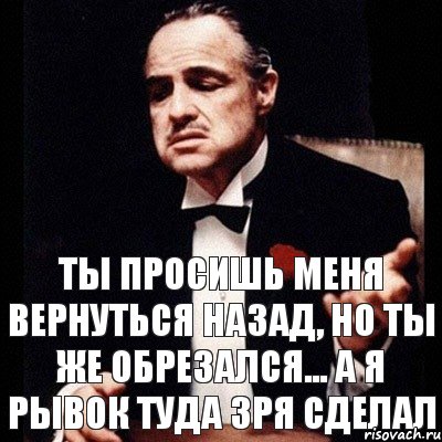 Ты просишь меня вернуться назад, но ты же обрезался... А я рывок туда зря сделал