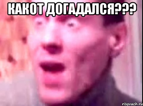 какот догадался??? 