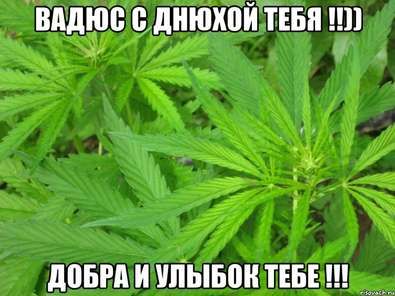 вадюс с днюхой тебя !!)) добра и улыбок тебе !!!, Мем федя