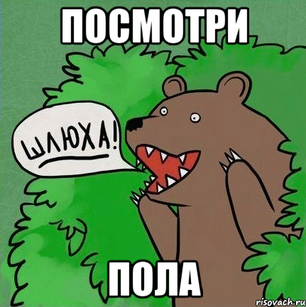 посмотри пола