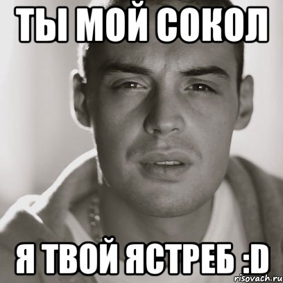 ты мой сокол я твой ястреб :d, Мем Гуф