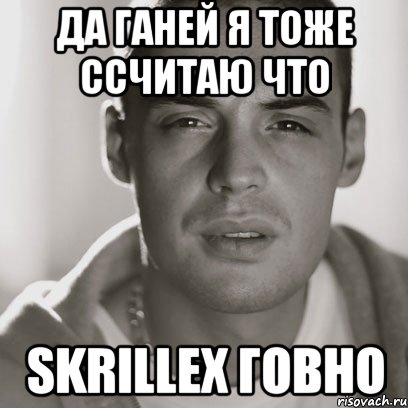 да ганей я тоже ссчитаю что skrillex говно