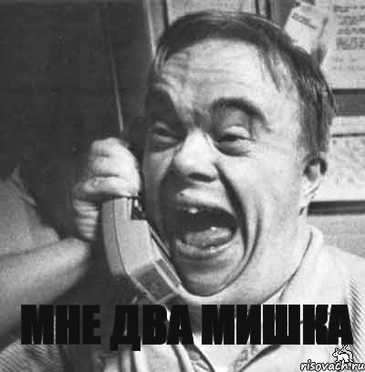 МНЕ ДВА МИШКА  