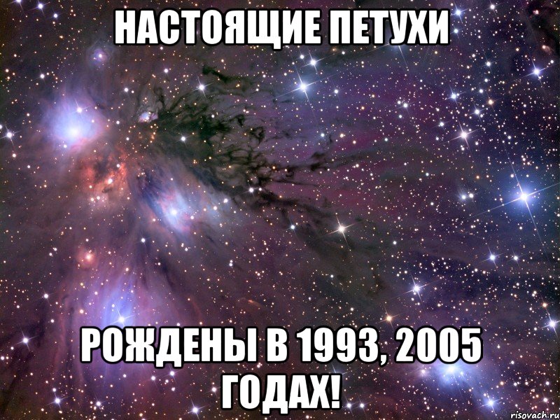 настоящие петухи рождены в 1993, 2005 годах!, Мем Космос