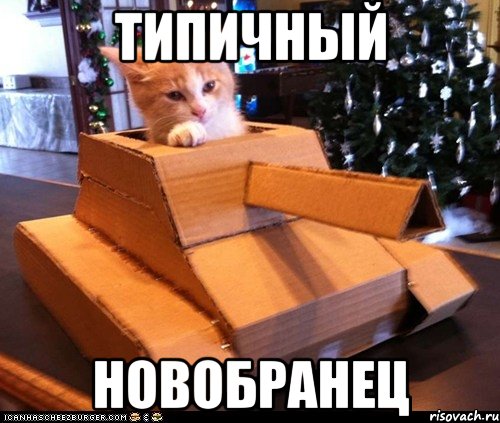 типичный новобранец