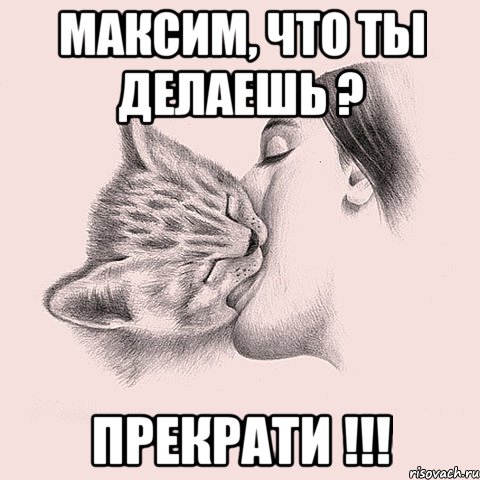 максим, что ты делаешь ? прекрати !!!, Мем котосекс