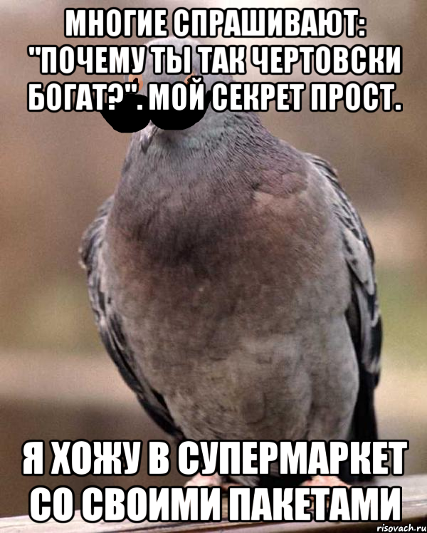 многие спрашивают: "почему ты так чертовски богат?". мой секрет прост. я хожу в супермаркет со своими пакетами, Мем курлык