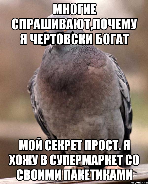 Я обзавелся богатенькой мамашей в обратном. Курлык меме. Курлык курлык meme. Спокойной ночи курлык курлык. Многие меня спрашивают почему я.