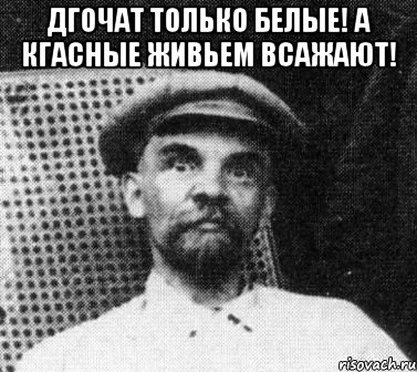 дгочат только белые! а кгасные живьем всажают! , Мем   Ленин удивлен