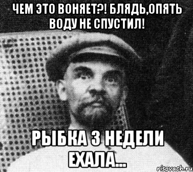 чем это воняет?! блядь,опять воду не спустил! рыбка 3 недели ехала...