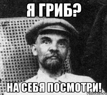 я гриб? на себя посмотри!, Мем   Ленин удивлен