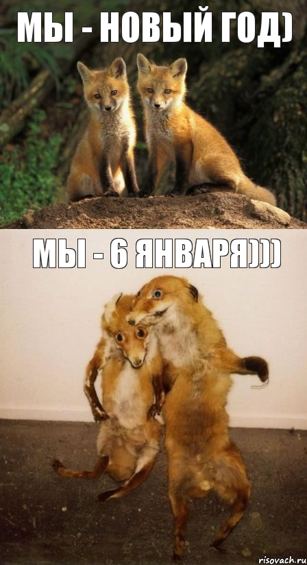 Мы - Новый год) Мы - 6 января)))