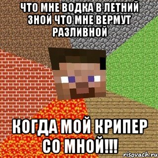 что мне водка в летний зной что мне вермут разливной когда мой крипер со мной!!!