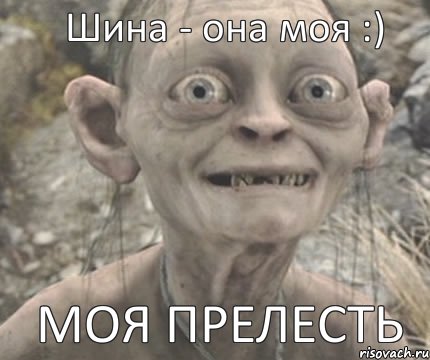 МОЯ ПРЕЛЕСТЬ Шина - она моя :), Комикс Моя прелесть