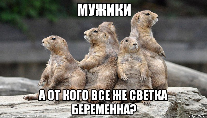 мужики а от кого все же светка беременна?, Мем мужики