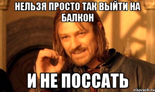 нельзя просто так выйти на балкон и не поссать, Мем Нельзя просто так взять и (Боромир мем)