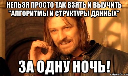 нельзя просто так взять и выучить "алгоритмы и структуры данных" за одну ночь!, Мем Нельзя просто так взять и (Боромир мем)