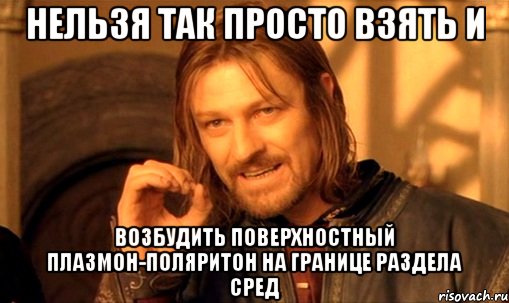 нельзя так просто взять и возбудить поверхностный плазмон-поляритон на границе раздела сред, Мем Нельзя просто так взять и (Боромир мем)