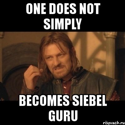 one does not simply becomes siebel guru, Мем Нельзя просто взять