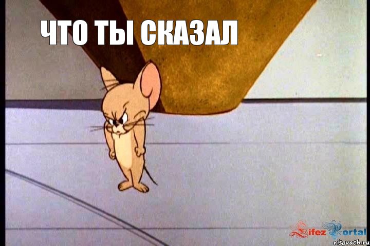 ЧТО ТЫ СКАЗАЛ