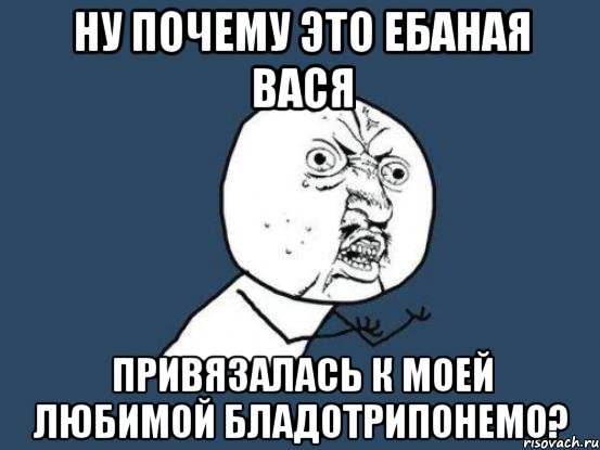 ну почему это ебаная вася привязалась к моей любимой бладотрипонемо?, Мем Ну почему