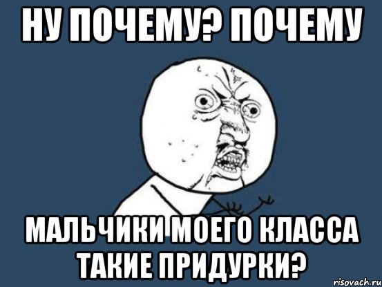 ну почему? почему мальчики моего класса такие придурки?, Мем Ну почему