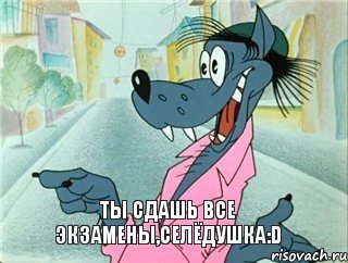 ты сдашь все экзамены,Селёдушка:D, Комикс Пасите