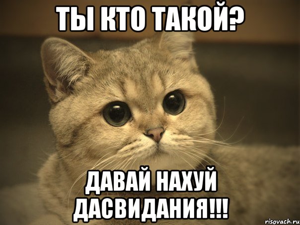 ты кто такой? давай нахуй дасвидания!!!, Мем Пидрила ебаная котик