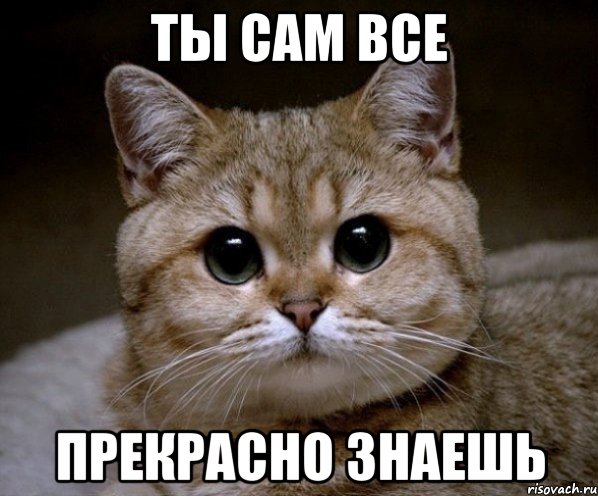 Ты сам то