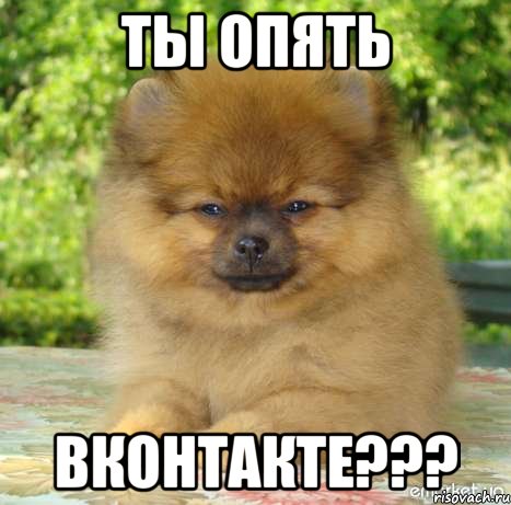 ты опять вконтакте???