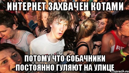 интернет захвачен котами потому что собачники постоянно гуляют на улице, Мем   озарение