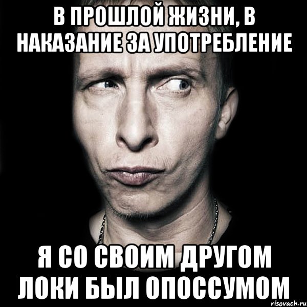 в прошлой жизни, в наказание за употребление я со своим другом локи был опоссумом