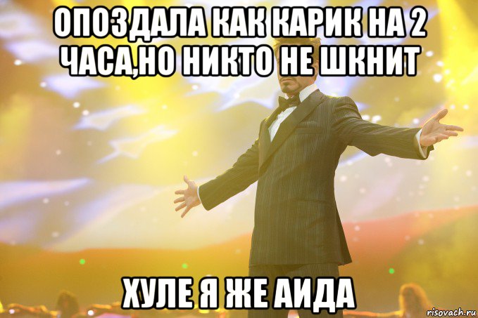 опоздала как карик на 2 часа,но никто не шкнит хуле я же аида, Мем Тони Старк (Роберт Дауни младший)