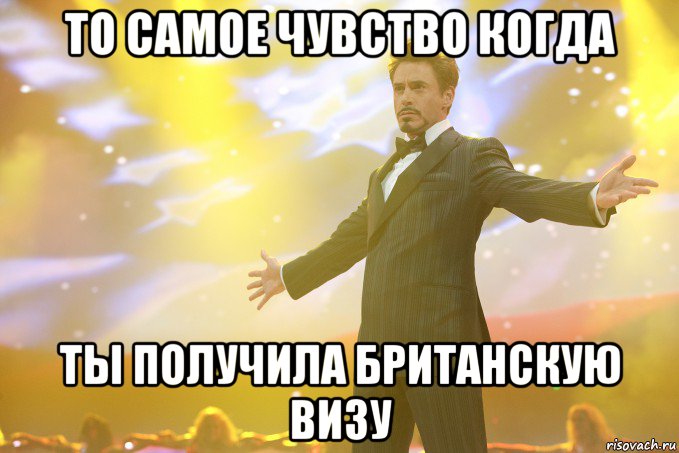 то самое чувство когда ты получила британскую визу, Мем Тони Старк (Роберт Дауни младший)