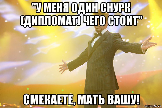 "у меня один снурк (дипломат) чего стоит" смекаете, мать вашу!, Мем Тони Старк (Роберт Дауни младший)