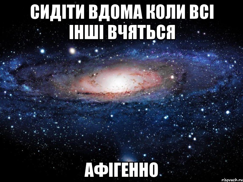 сидіти вдома коли всі інші вчяться афігенно, Мем Вселенная