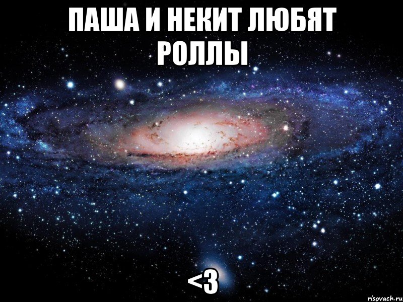 паша и некит любят роллы <3, Мем Вселенная