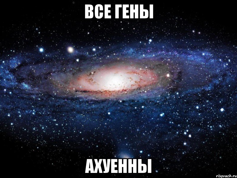 все гены ахуенны, Мем Вселенная