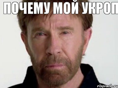 Почему мой укроп  Считают деревьями??