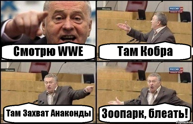 Смотрю WWE Там Кобра Там Захват Анаконды Зоопарк, блеать!, Комикс Жириновский